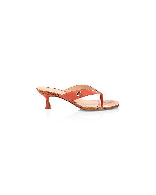 Coach Audree Leather Thong Sandals