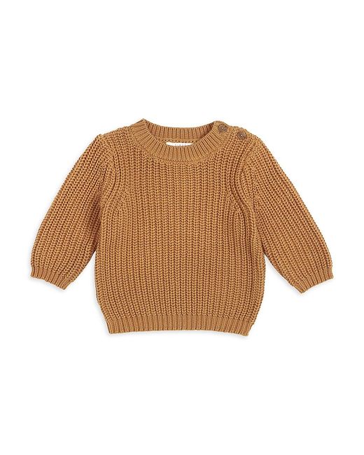 FIRSTS by petit lem Baby Boys Ribbed Cotton Sweater