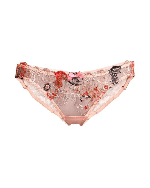 Agent Provocateur Zuri Embroidered Tulle Brief
