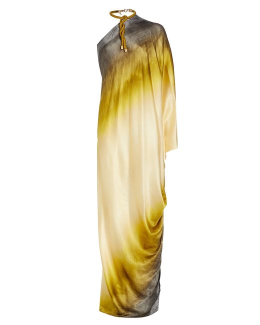Silvia Tcherassi Inu Ombré Maxi Dress