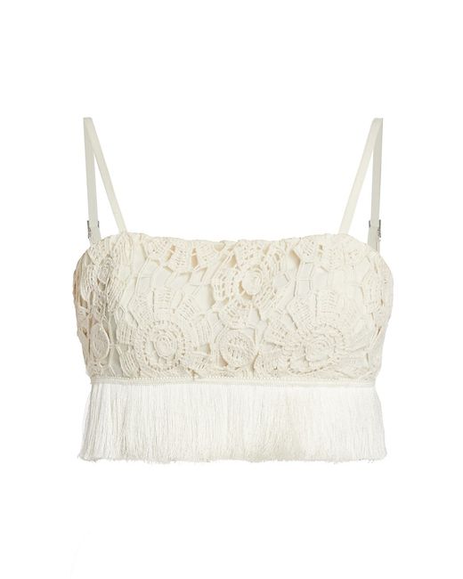 Patbo Crocheted Fringe Crop Top Large