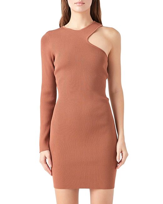 Endless Rose Cut Out One Sleeve Knit Dress