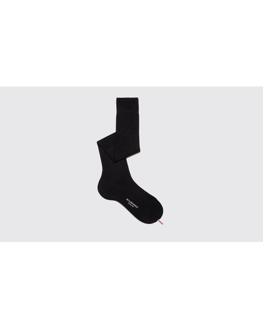 Scarosso Navy Cotton Knee Socks