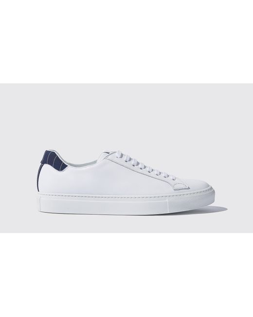 Scarosso Sneakers Pinstripe Calf Leather