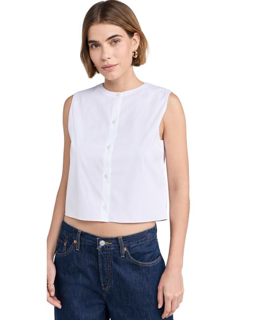 Theory Shell Top P
