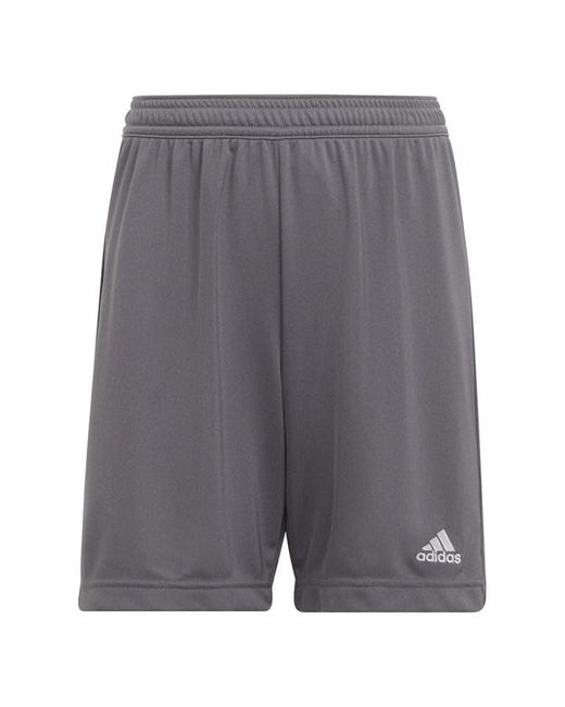 Adidas ENT22 Shorts Juniors