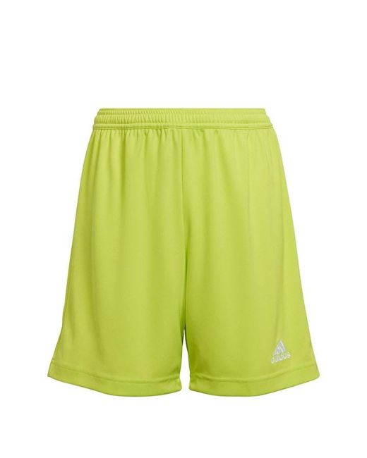 Adidas ENT22 Shorts Juniors