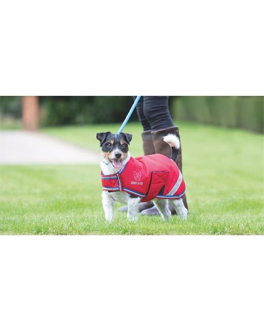 Digby and Fox and Fox Waterproof Dog Coat