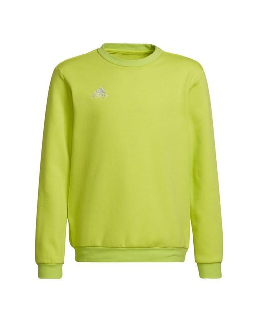 Adidas ENT22 Sweater Juniors