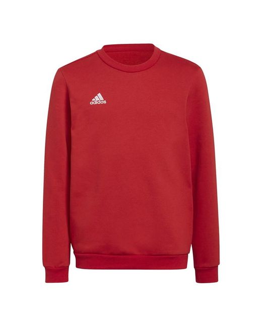Adidas ENT22 Sweater Juniors