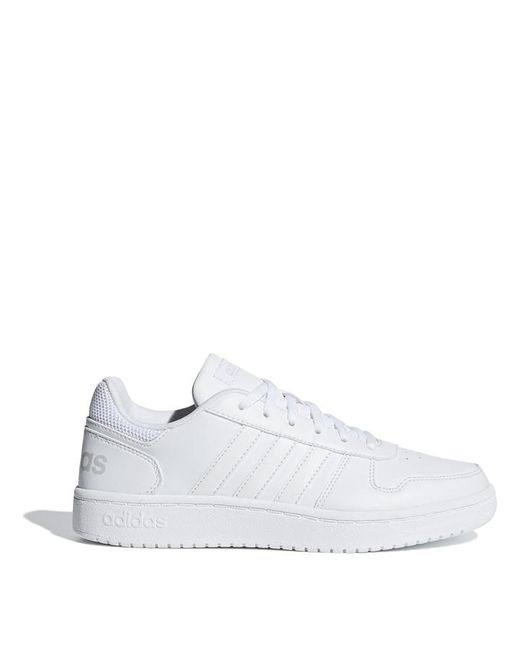Adidas Hoops Low Trainers