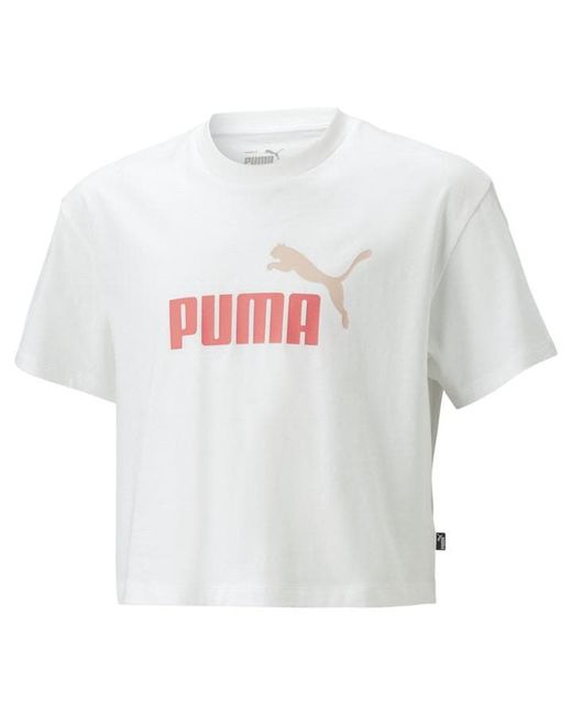 Puma Logo Crop Tee Jn34