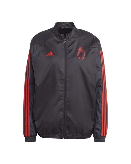 Adidas Belgium Pre Match Jacket 2022/2023