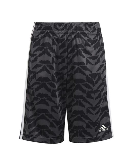 Adidas XPRESS Shorts Jn33