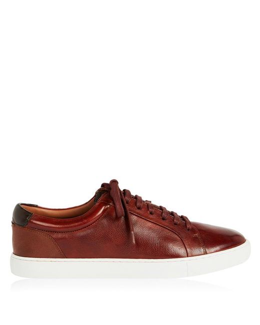 Ted Baker Udamo Trainers