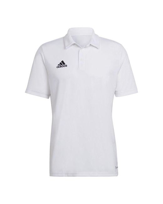 Adidas ENT22 Polo Shirt
