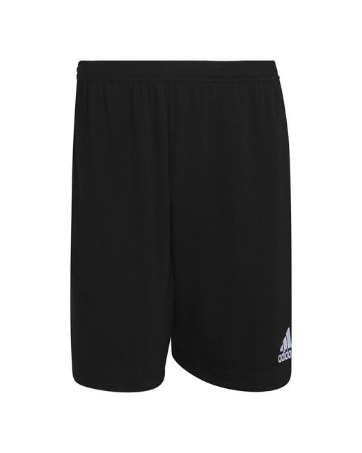 Adidas ENT22 Tr Shorts