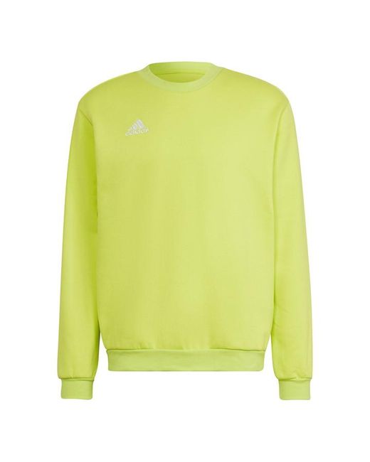 Adidas ENT22 Sweatshirt
