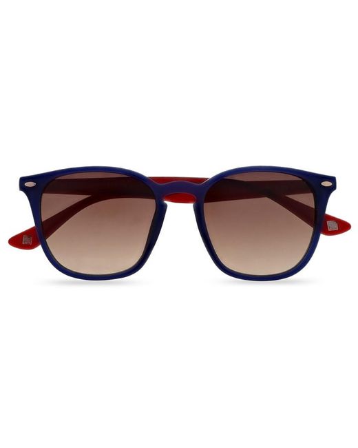 Ted Baker 1595 Sunglasses