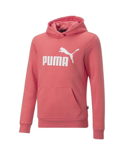 Puma Logo Hoodie FL G