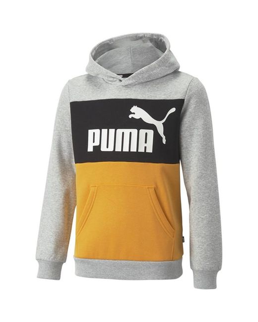 Puma Block Hoodie FL Jn99