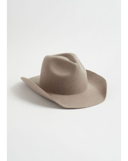 Other Stories Felt Western Hat