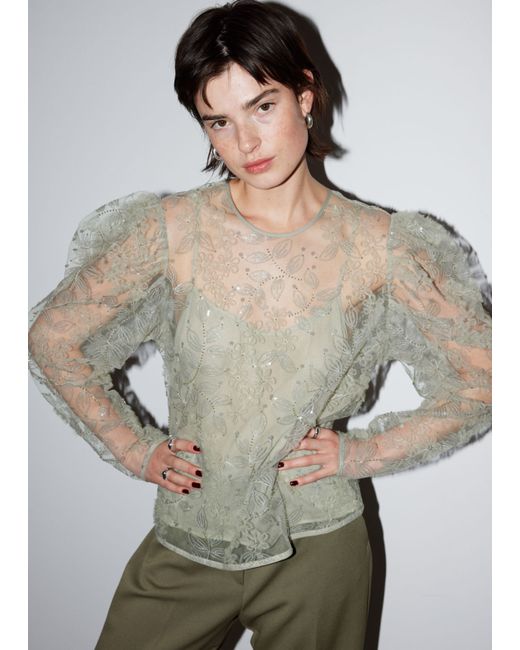 Other Stories Sheer Embroidered Organza Blouse