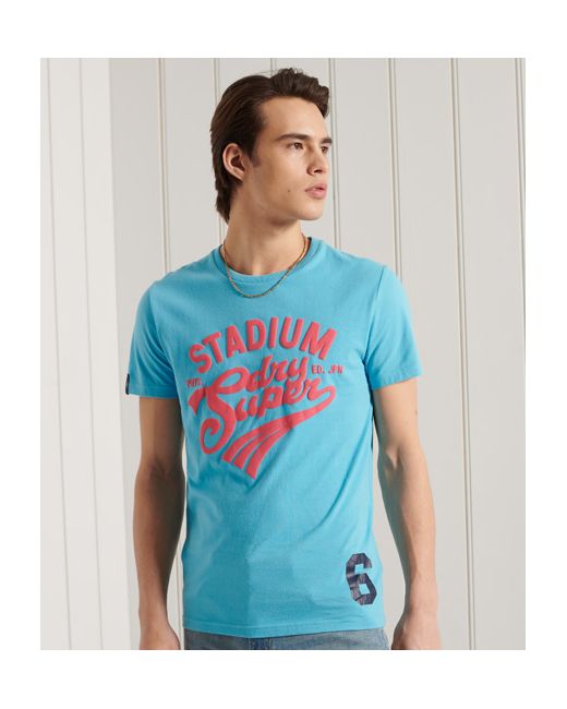 Superdry Collegiate Graphic Lightweight T-Shirt