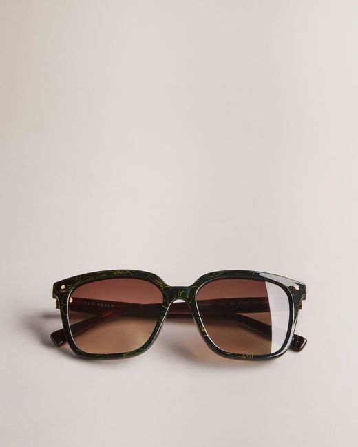 Ted Baker Classic Square Frame Sunglasses Ramonat