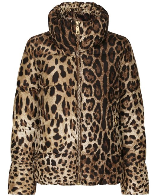 Dolce & Gabbana Leopard Print Nylon Down Jacket