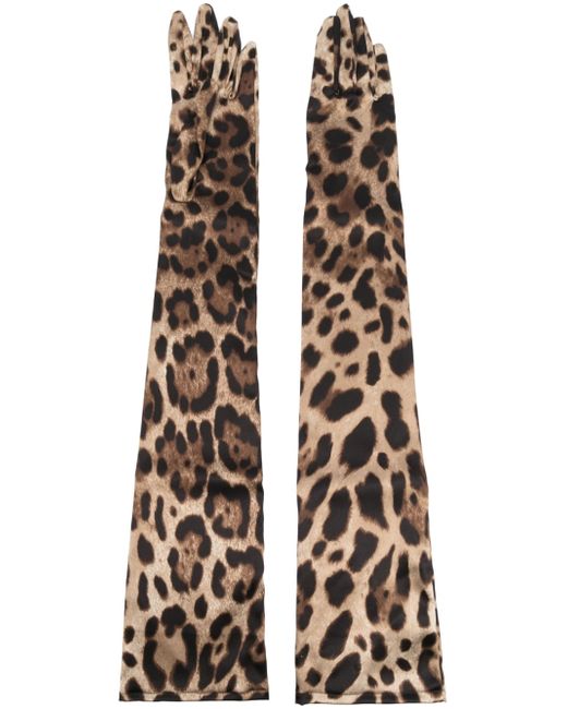 Dolce & Gabbana Leopard Print Silk Gloves