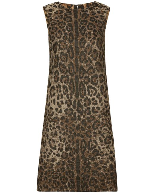 Dolce & Gabbana Leopard Print Wool Mini Dress