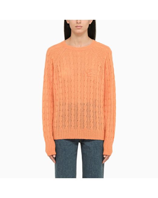 Etro cable-knit crew-neck sweater