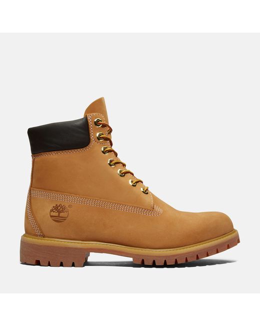 Timberland Premium 6 Inch Boot For In