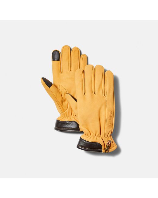 Timberland Winter Hill Leather Gloves For In