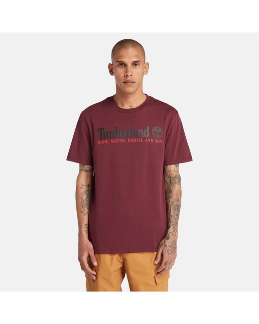 Timberland Wind Water Earth And Sky T-shirt For In Burgundy