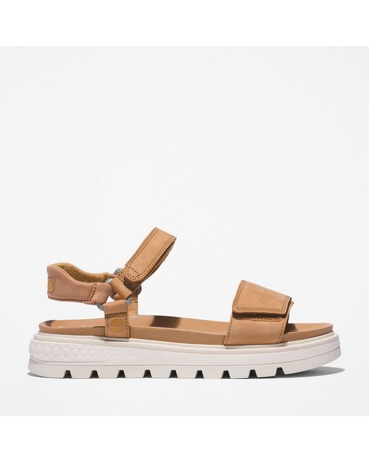 Timberland Greenstride Ray City Ankle-strap Sandal For In Brown