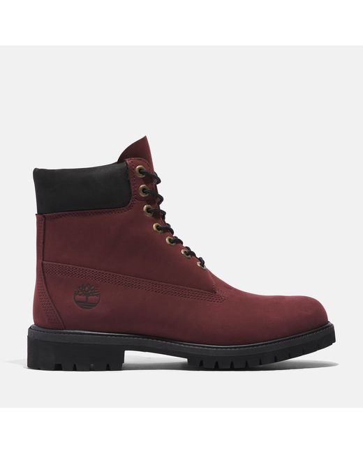 Timberland Premium 6 Inch Boot For In Burgundy