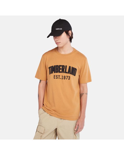 Timberland Modern Wash Brand Carrier Tee For In