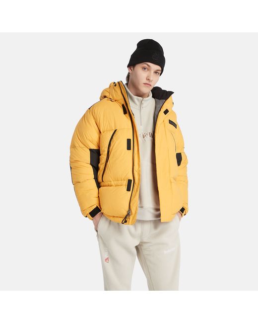 Timberland Puffer Parka For In