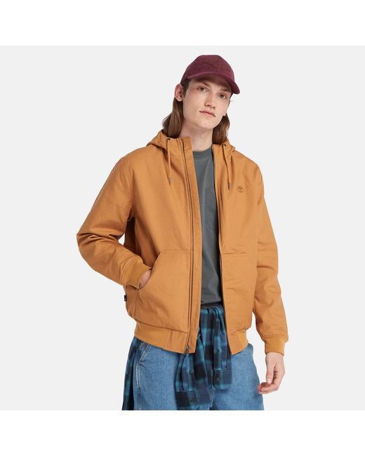 Timberland Insulated Canvas Hooded Bomber Jacket For In