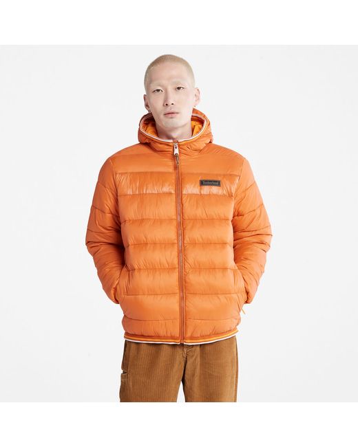 Timberland Garfield Midweight Hooded Puffer Jacket For In