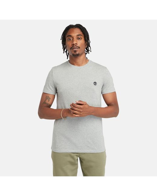 Timberland Dunstan River T-shirt For Grey