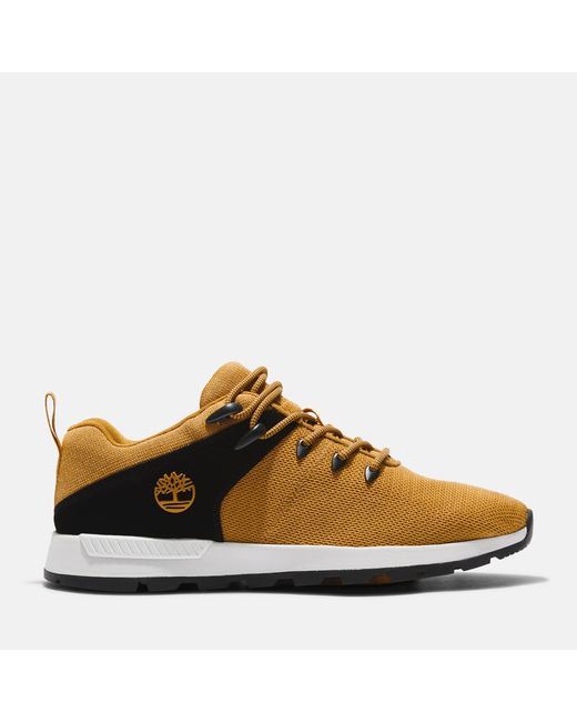 Timberland Sprint Trekker Lace-up Low Trainer For