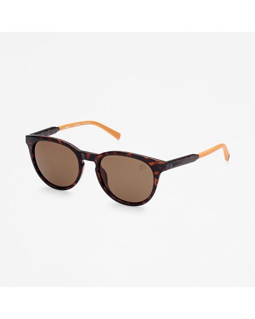 Timberland Marcolin Round Sunglasses