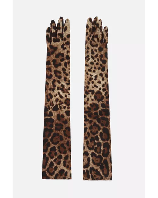Dolce & Gabbana leopard print stretch satin long gloves