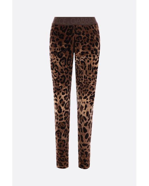 Dolce & Gabbana Leopard printed jacquard cenille leggings