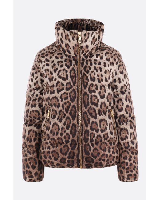 Dolce & Gabbana Leopard printed nylon padded jacket
