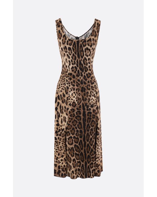 Dolce & Gabbana Leopard printed cady sleeveless dress