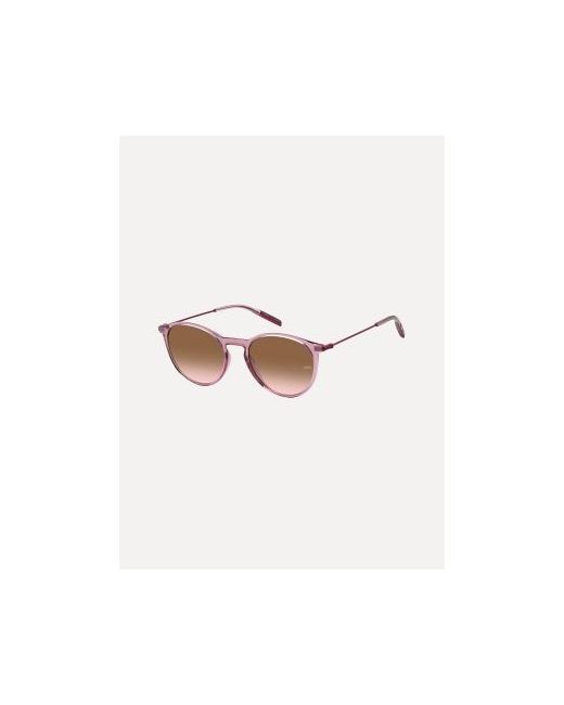 Tommy Hilfiger Classic Browline Sunglasses